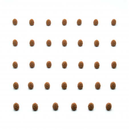 Upgrade accessory for Cascadia Alpine Lakes. Set of 34 nature tokens