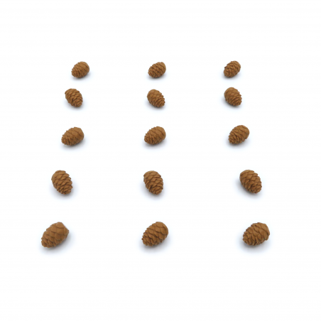 15 Nature Tokens for Cascadia: Landmarks Expansion